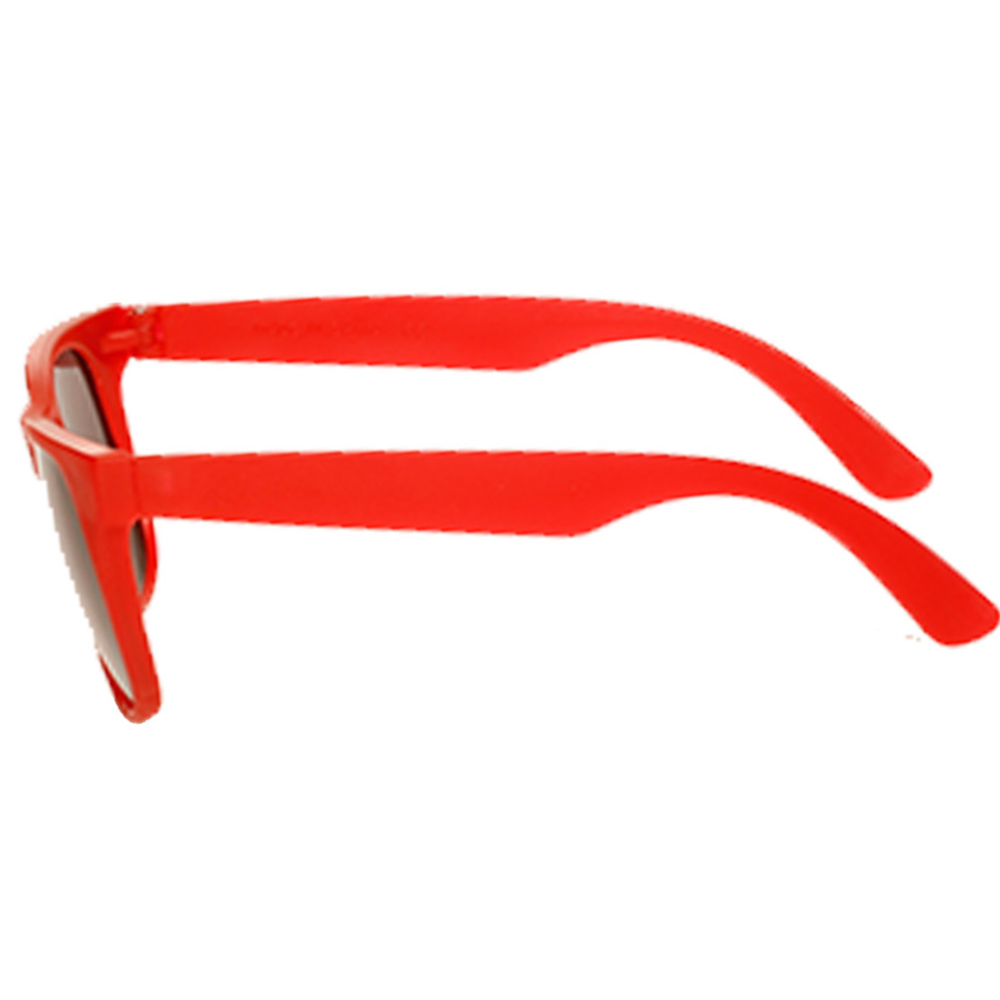 Picture of Two Tone Plastic Sunglasses