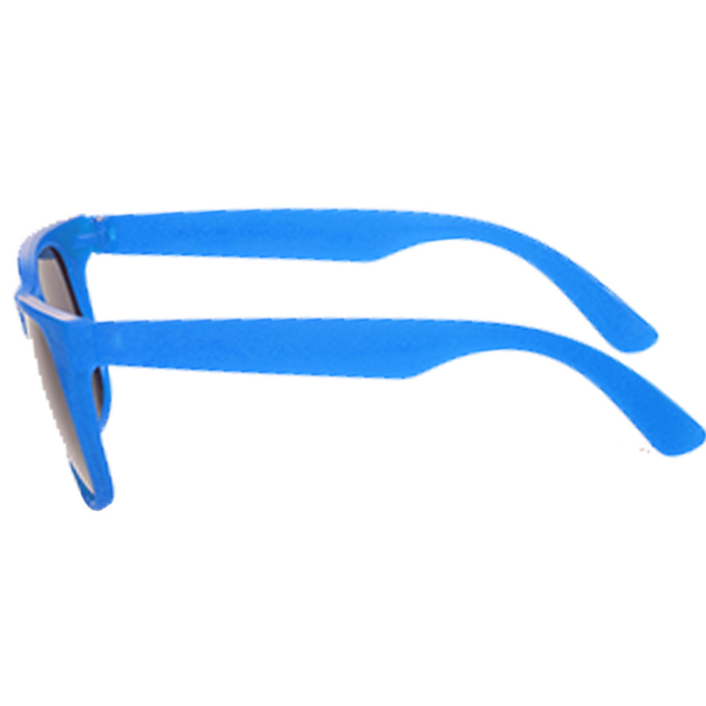 Picture of Two Tone Plastic Sunglasses