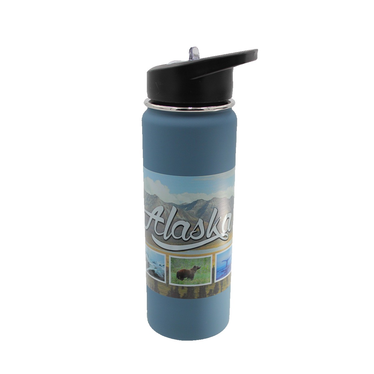 Picture of Halcyon 20 oz. Sport Bottle with Flip Straw Lid (Varnish)