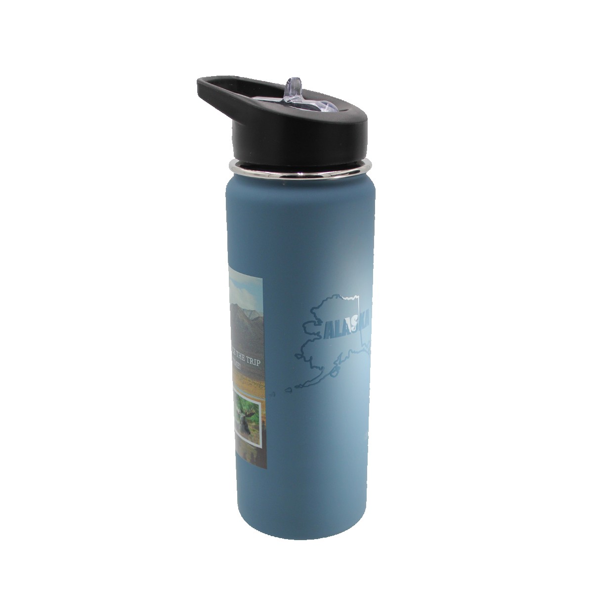 Picture of Halcyon 20 oz. Sport Bottle with Flip Straw Lid (Varnish)