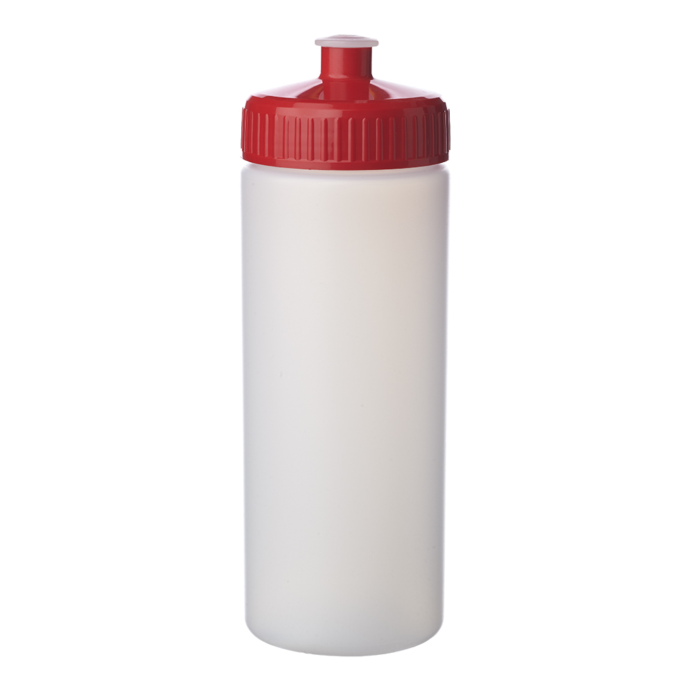 Picture of 20 oz. Frosted Plastic Water Bottles
