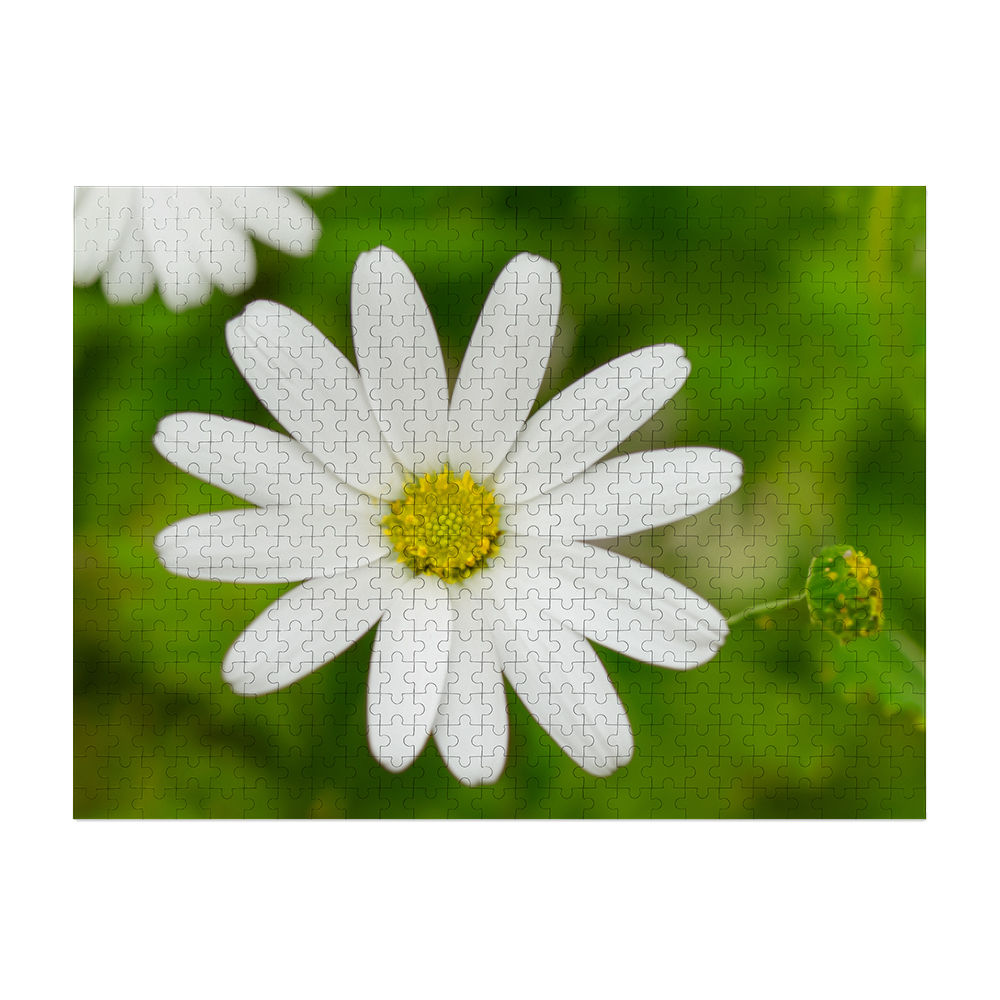 Picture of 500 Piece Jigsaw Photo Puzzle