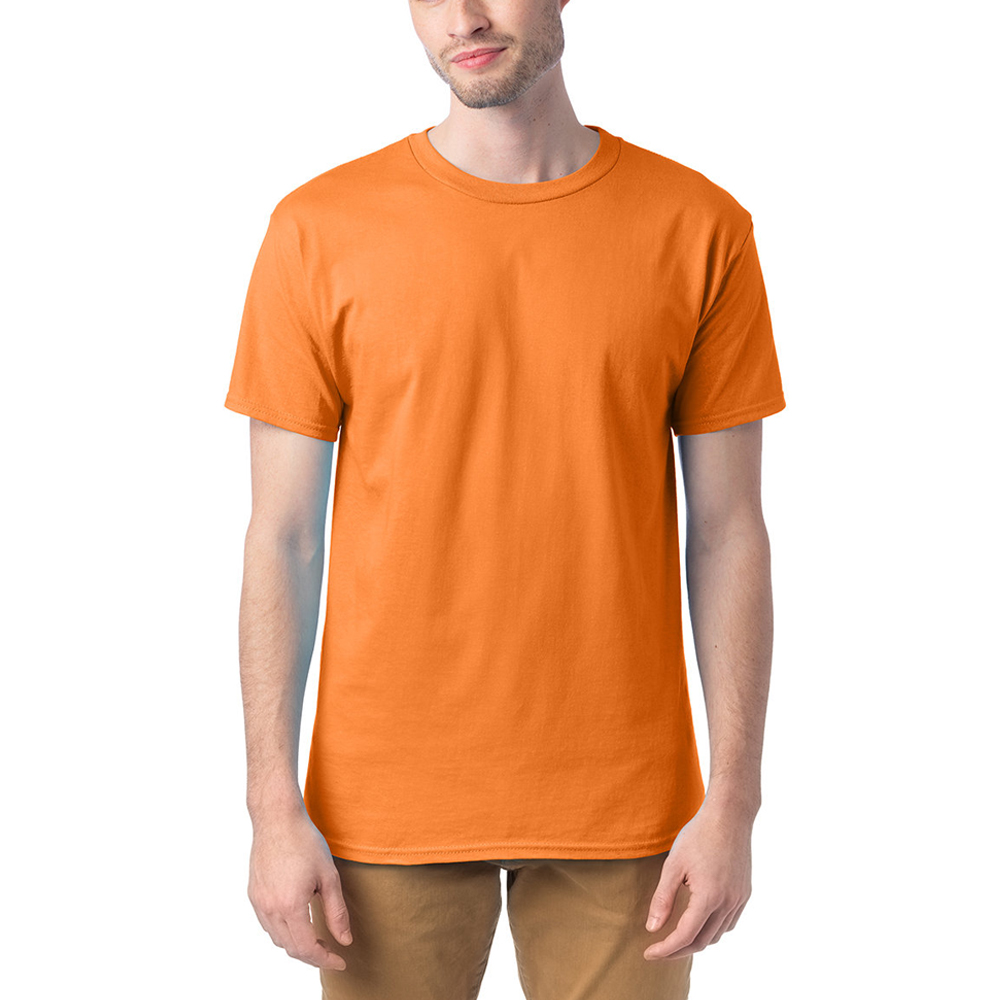 Picture of Hanes Heavyweight T-shirts
