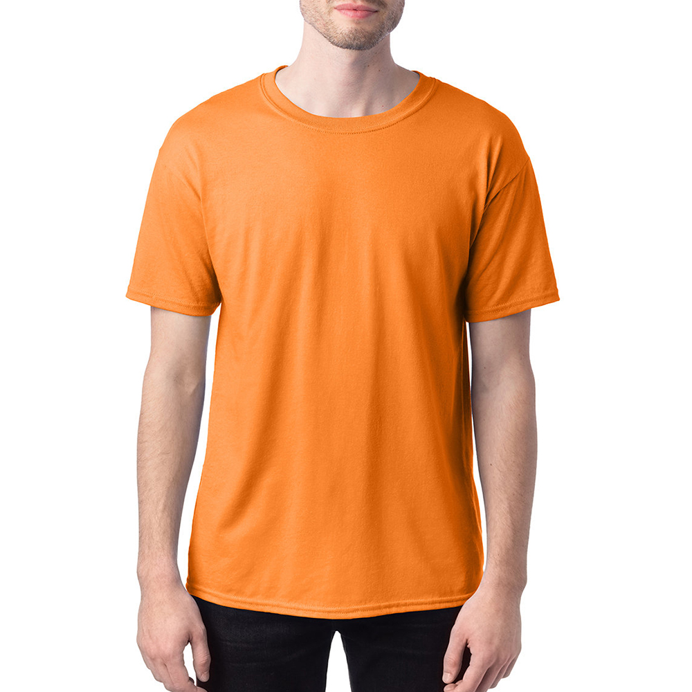 Picture of Hanes Heavyweight Cotton Blend T-shirts