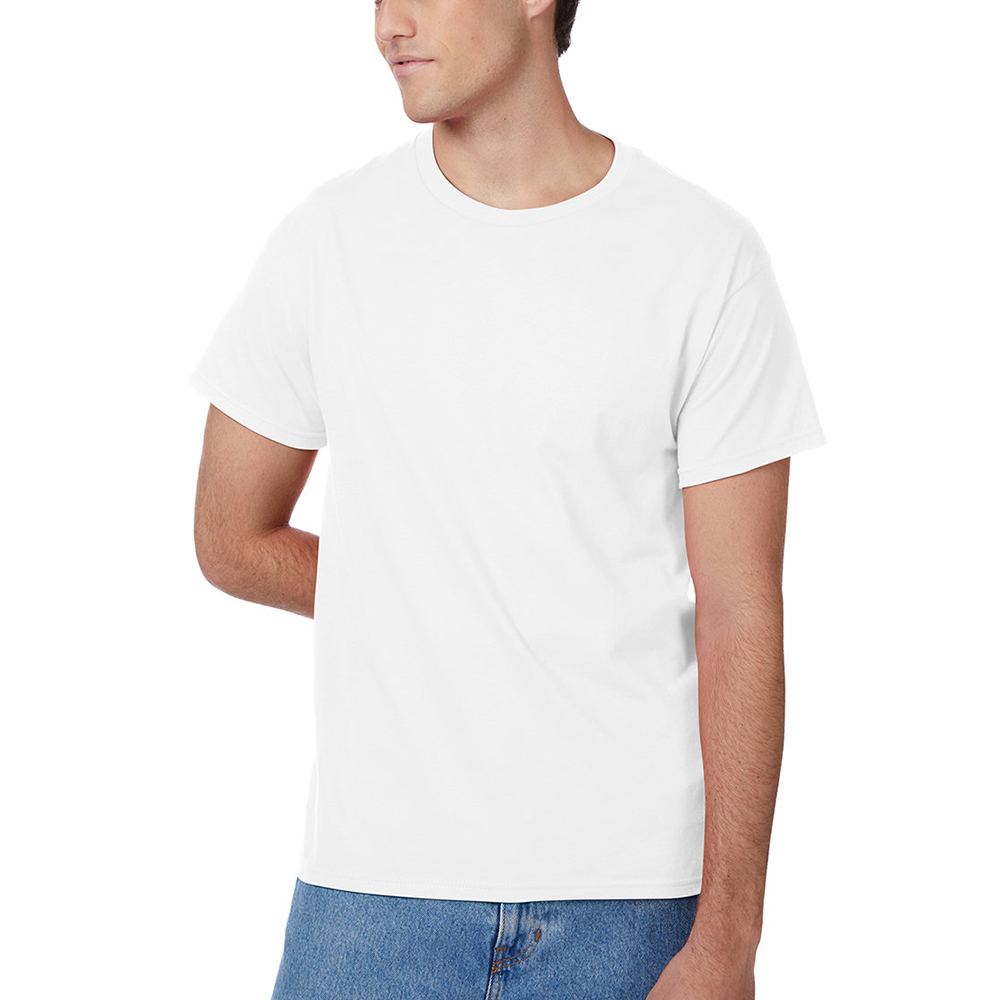 Picture of Hanes Authentic-T T-shirts