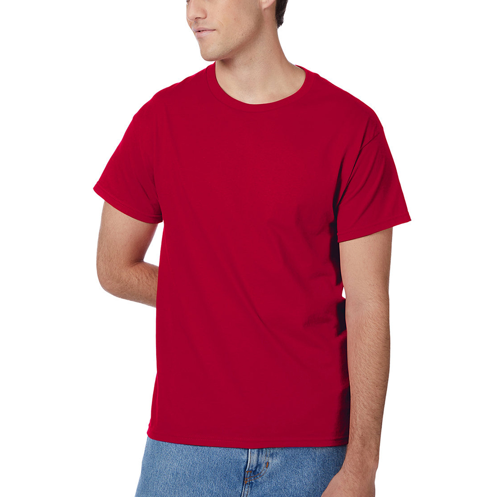 Picture of Hanes Authentic-T T-shirts