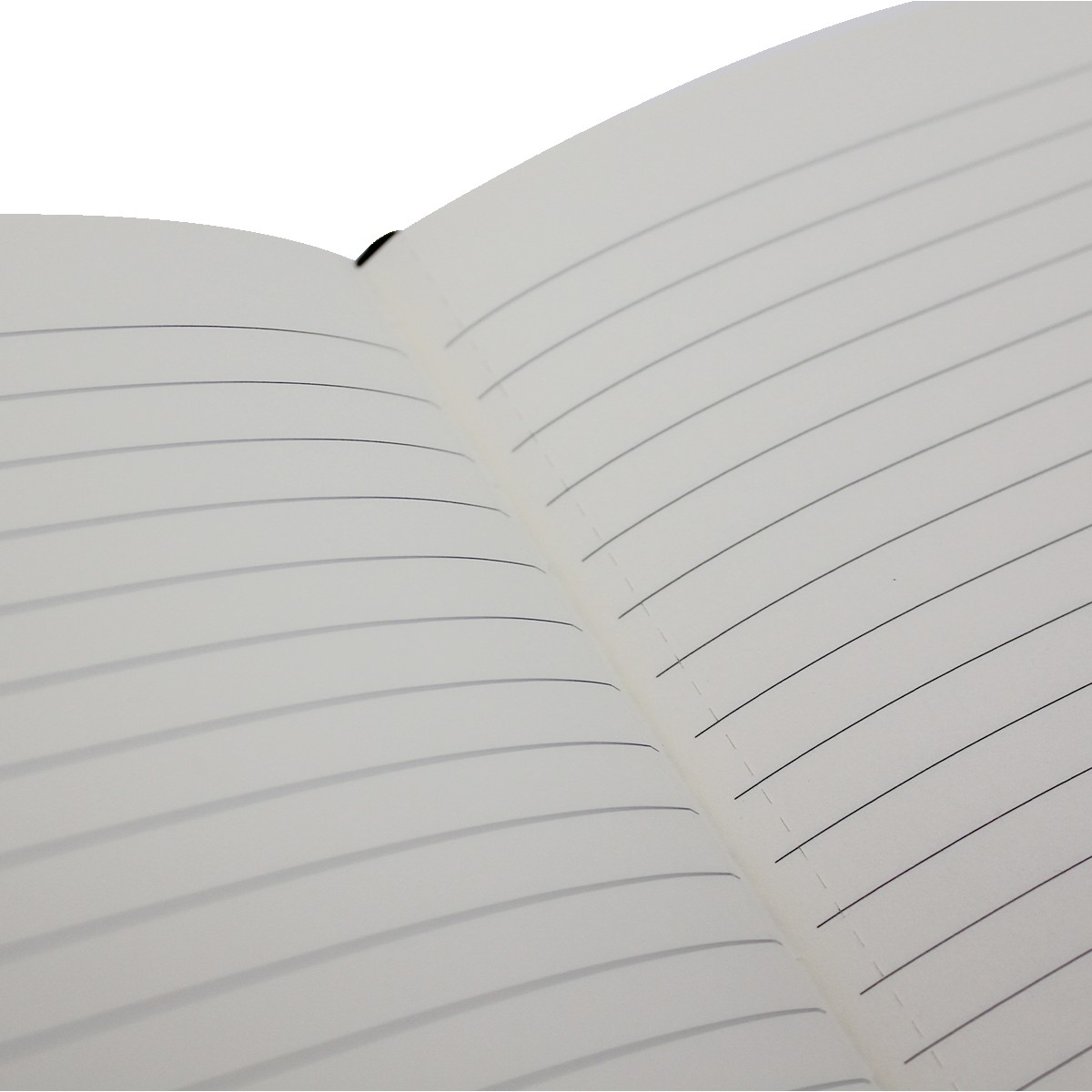 Picture of Executive Journal
