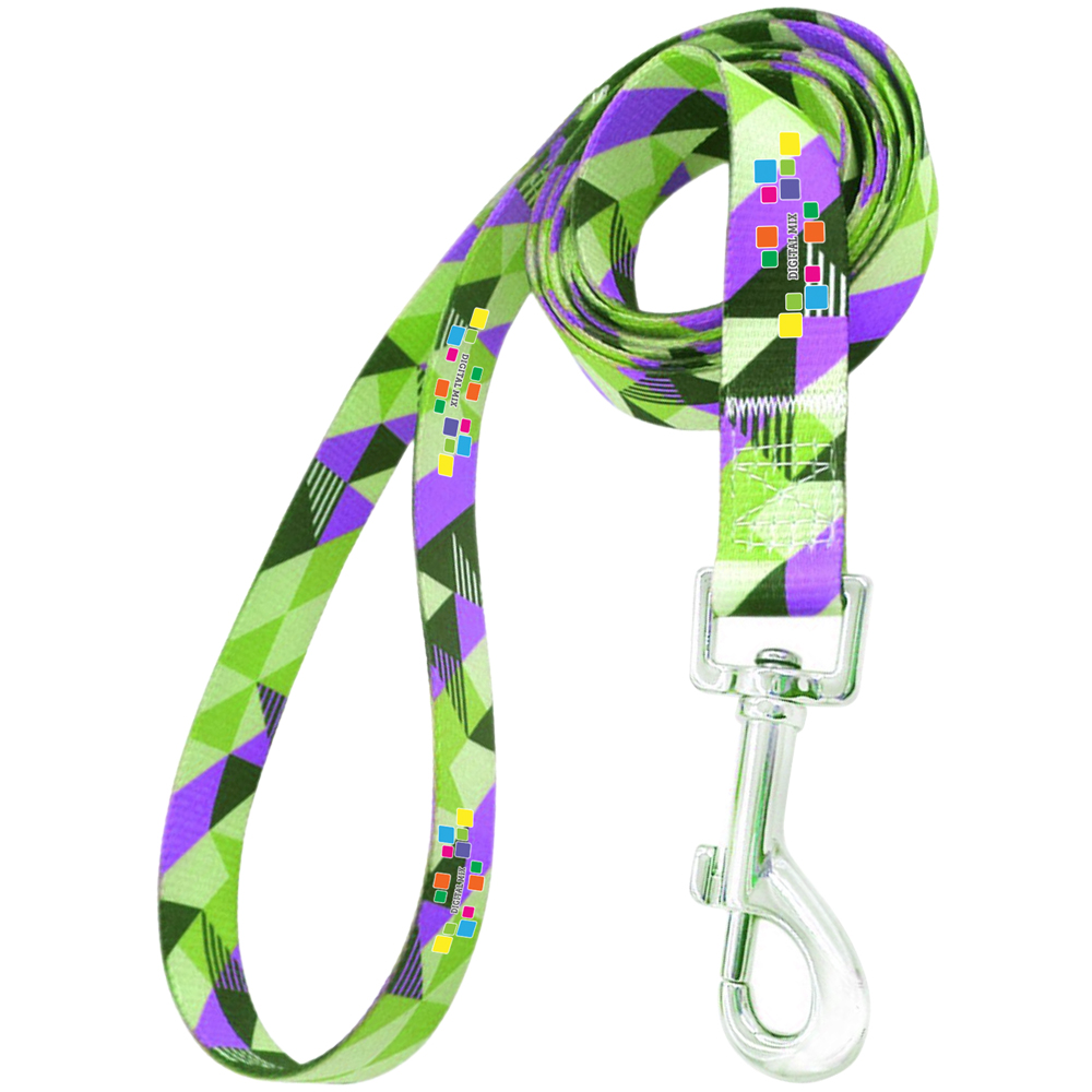 Picture of Dog Leash with Adjustable Collar and Carabiner