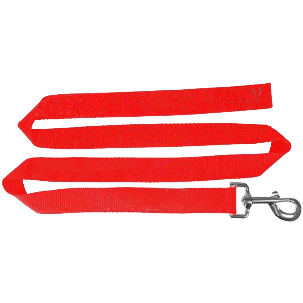 Picture of 72"L Polyester Pet Leash with Metal Carabiner