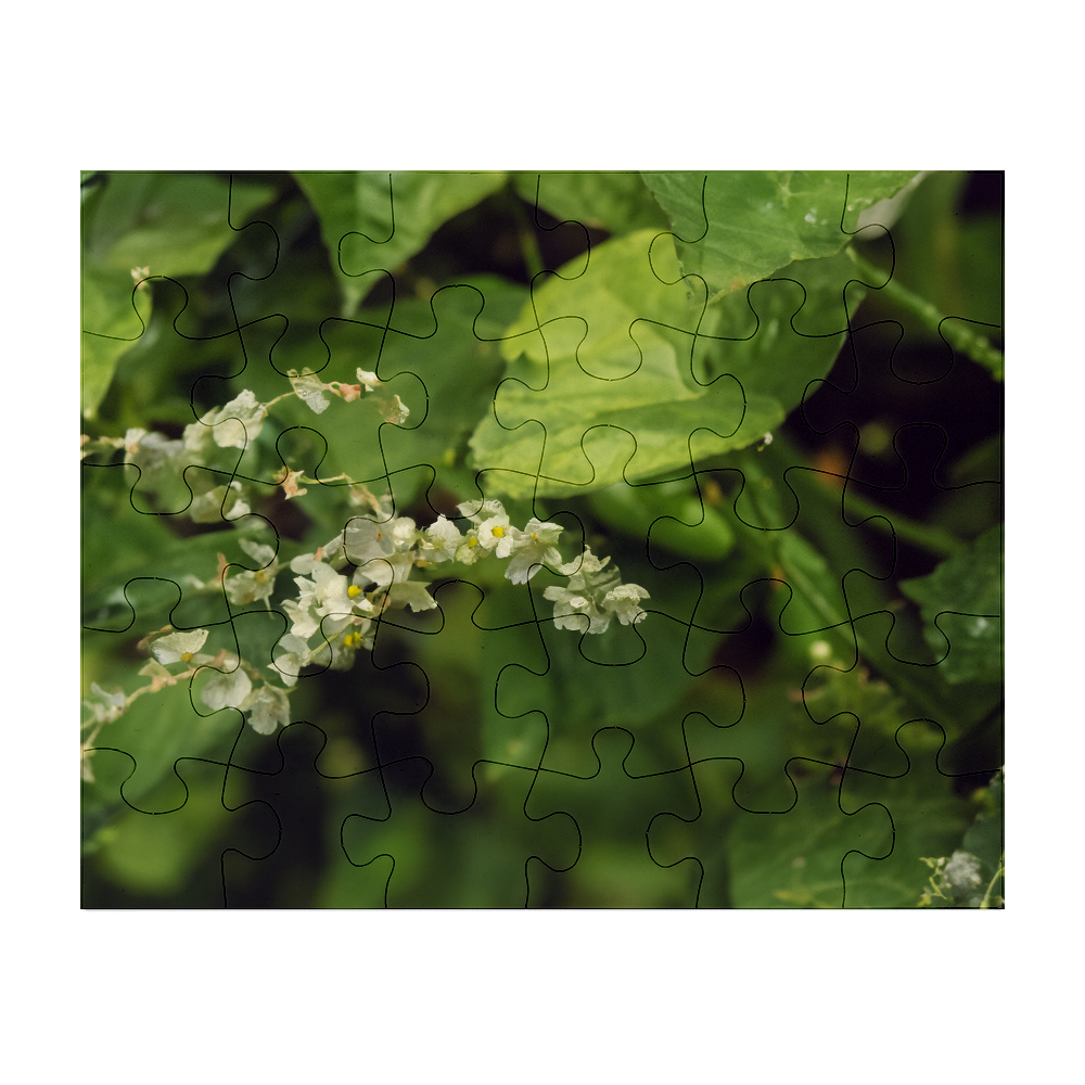 Picture of 30 Piece Jigsaw Photo Puzzle
