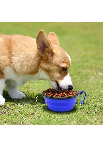 Picture of 350ml Collapsible Pet Bowl with Carabiner
