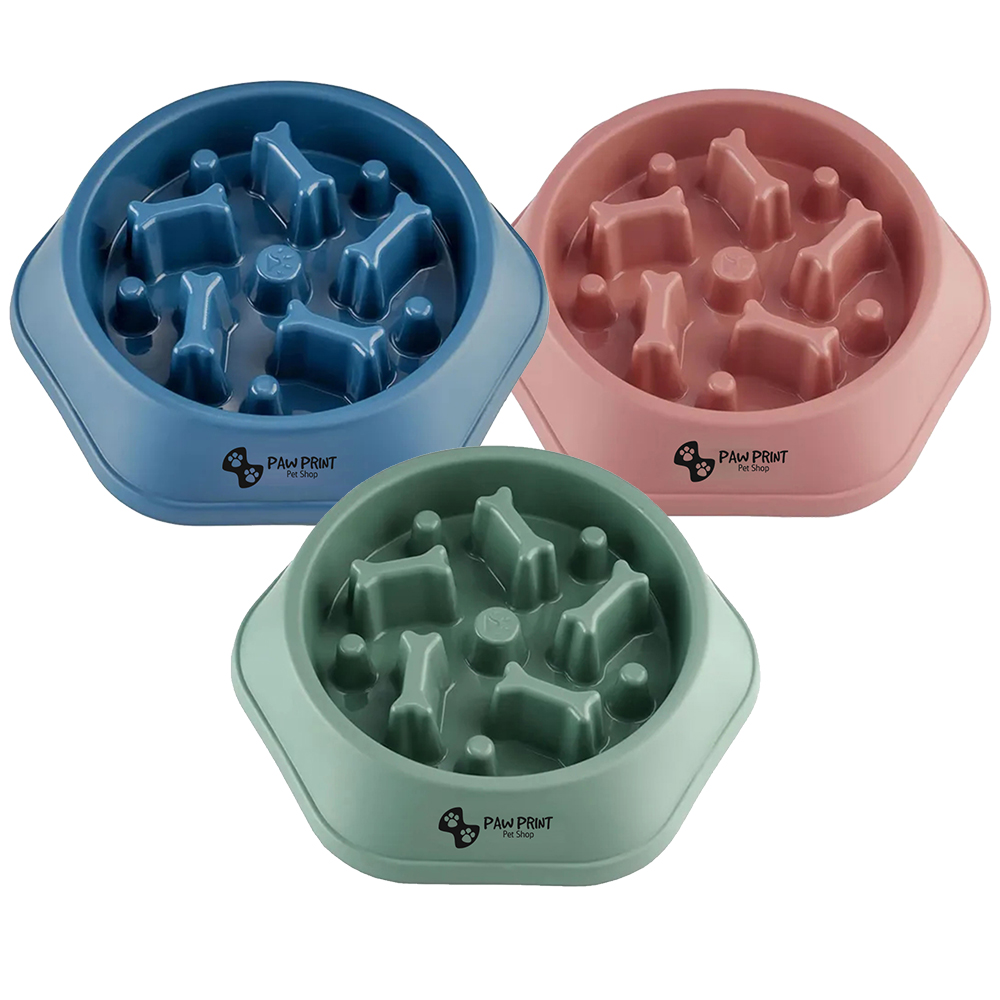 Picture of Slow Food Feeding Pet Bowl