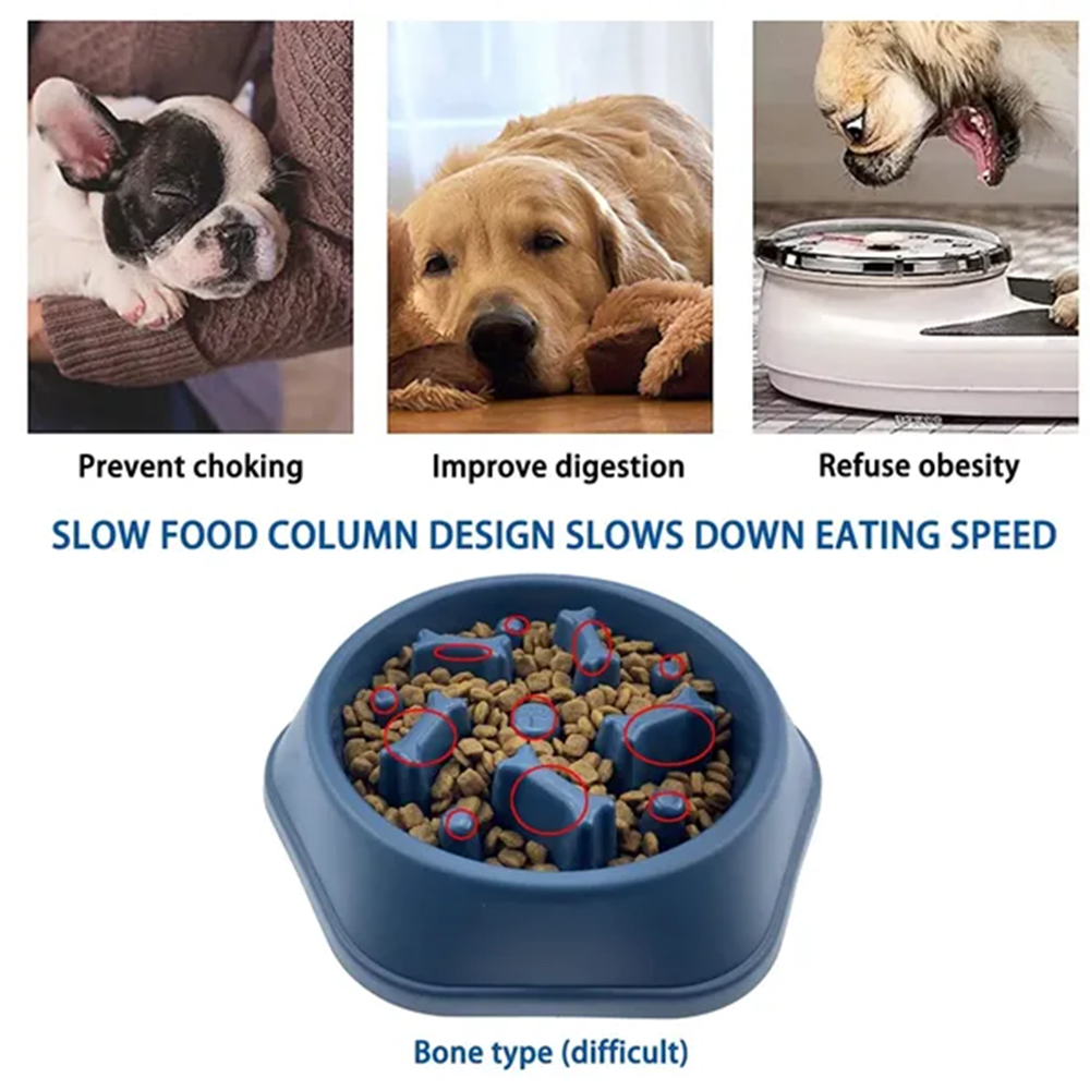 Picture of Slow Food Feeding Pet Bowl