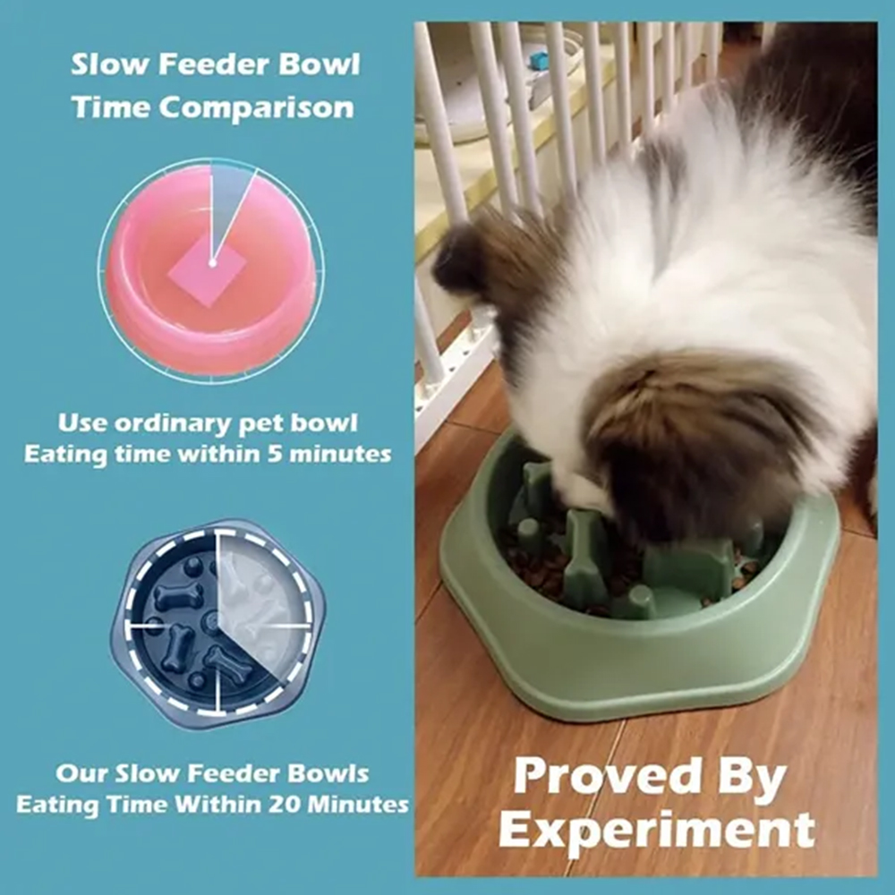 Picture of Slow Food Feeding Pet Bowl