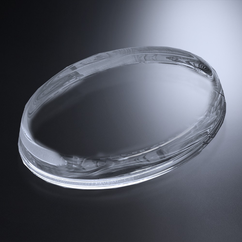 Picture of Savannah Paperweight 4" W