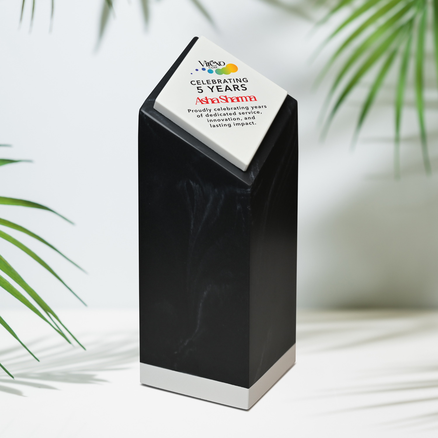 Picture of Cappa Award 8"