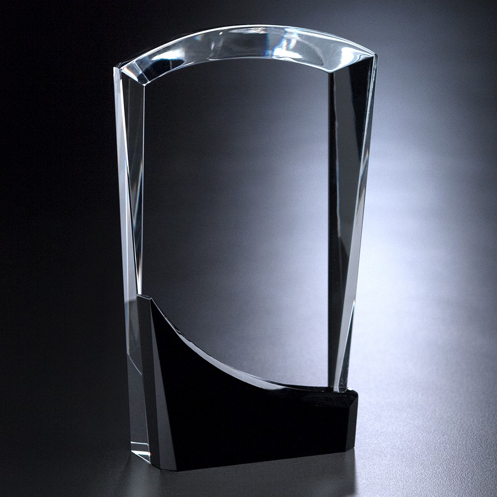 Picture of Wellton Sable Award 8"