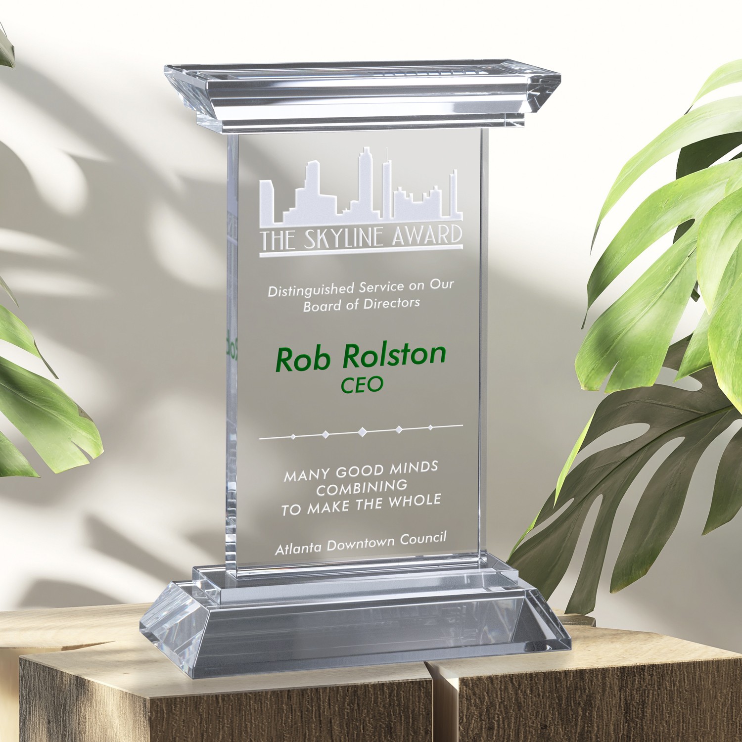 Picture of Chatfield Award 9"