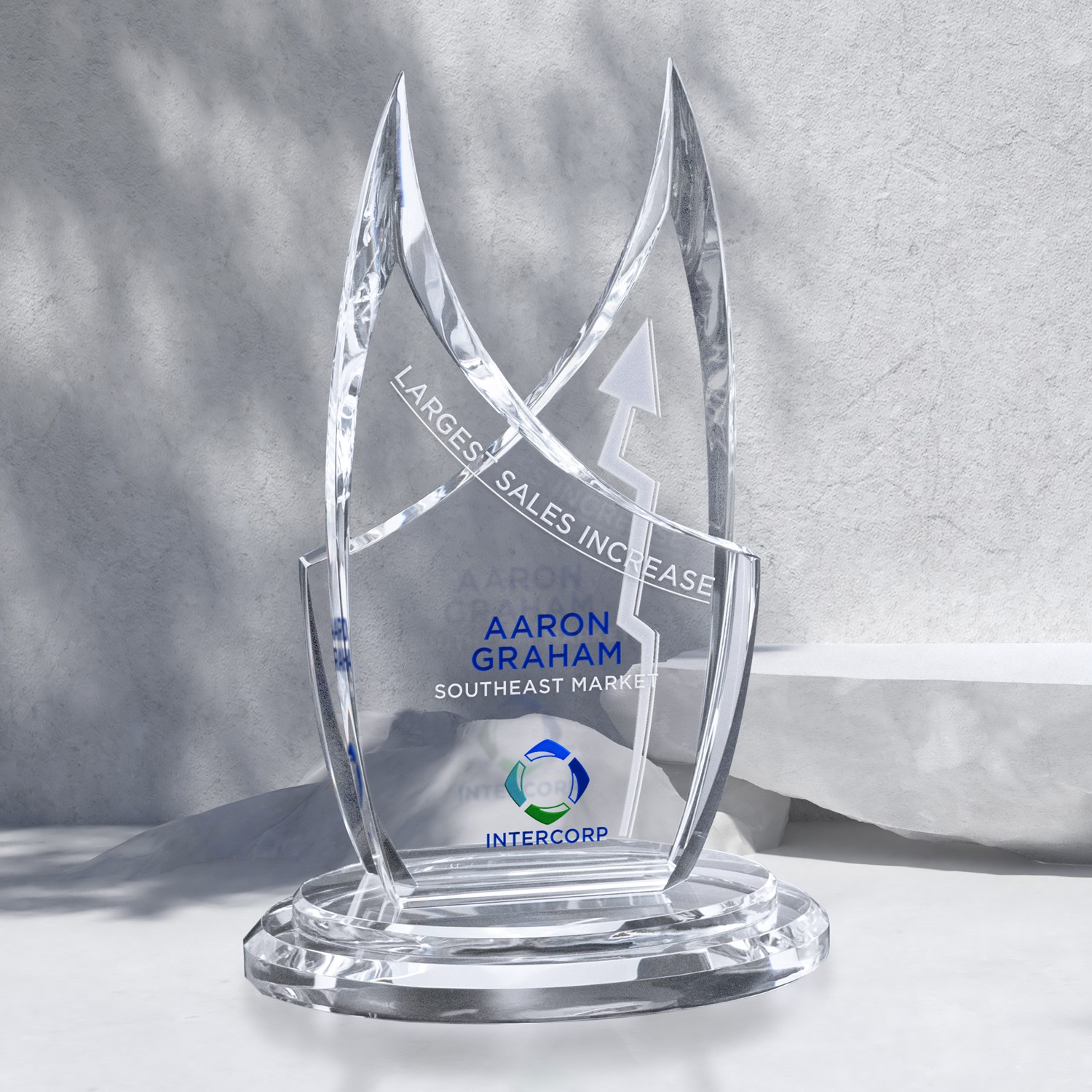 Picture of Montague Award 8-1/4"