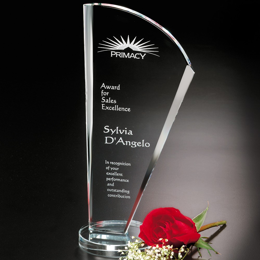 Picture of Merit Award 10-1/4"