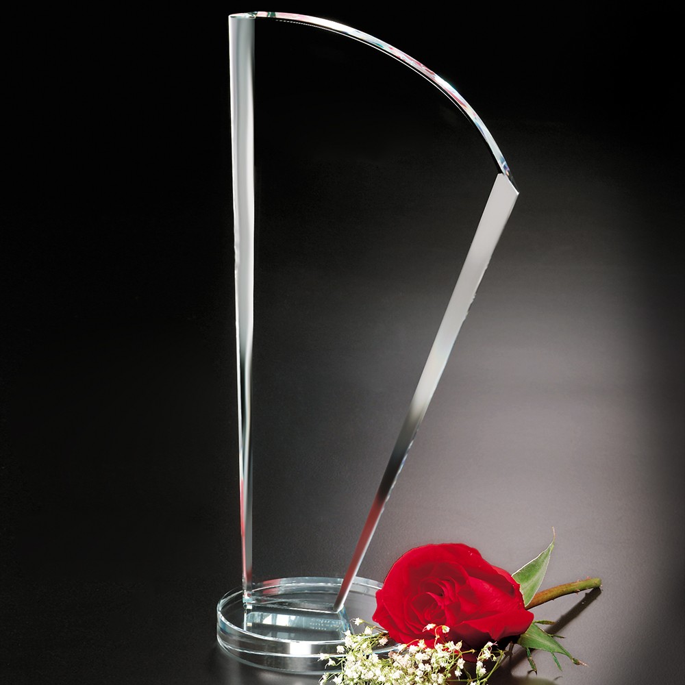 Picture of Merit Award 12"