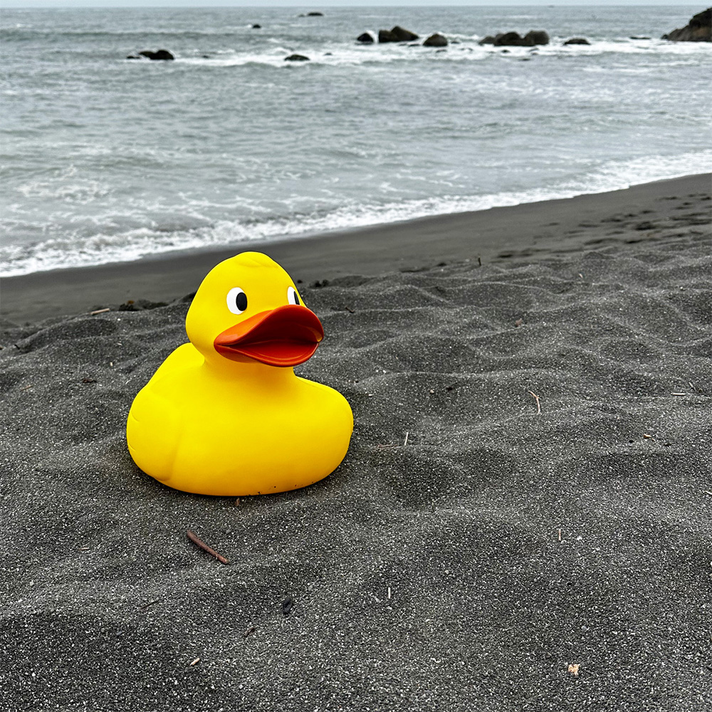 Picture of Jumbo Duck