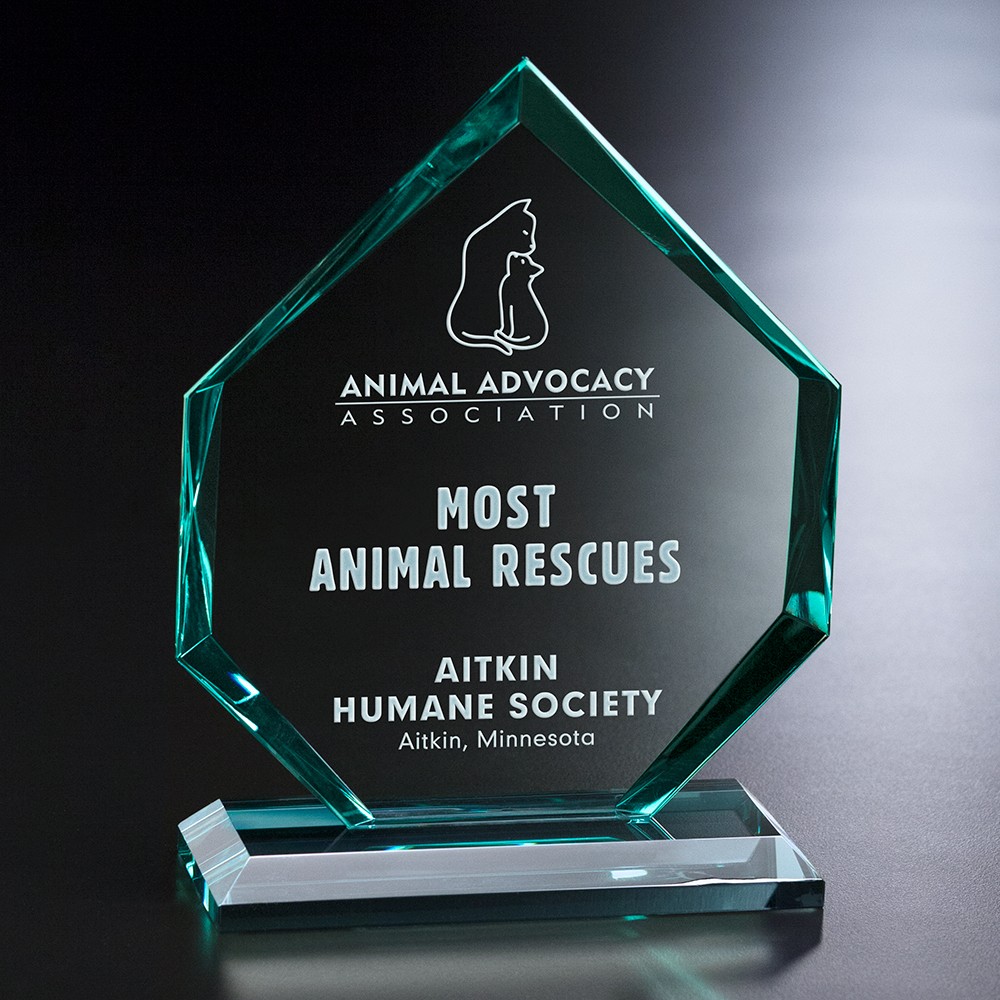 Picture of Titan Award 6-1/2"
