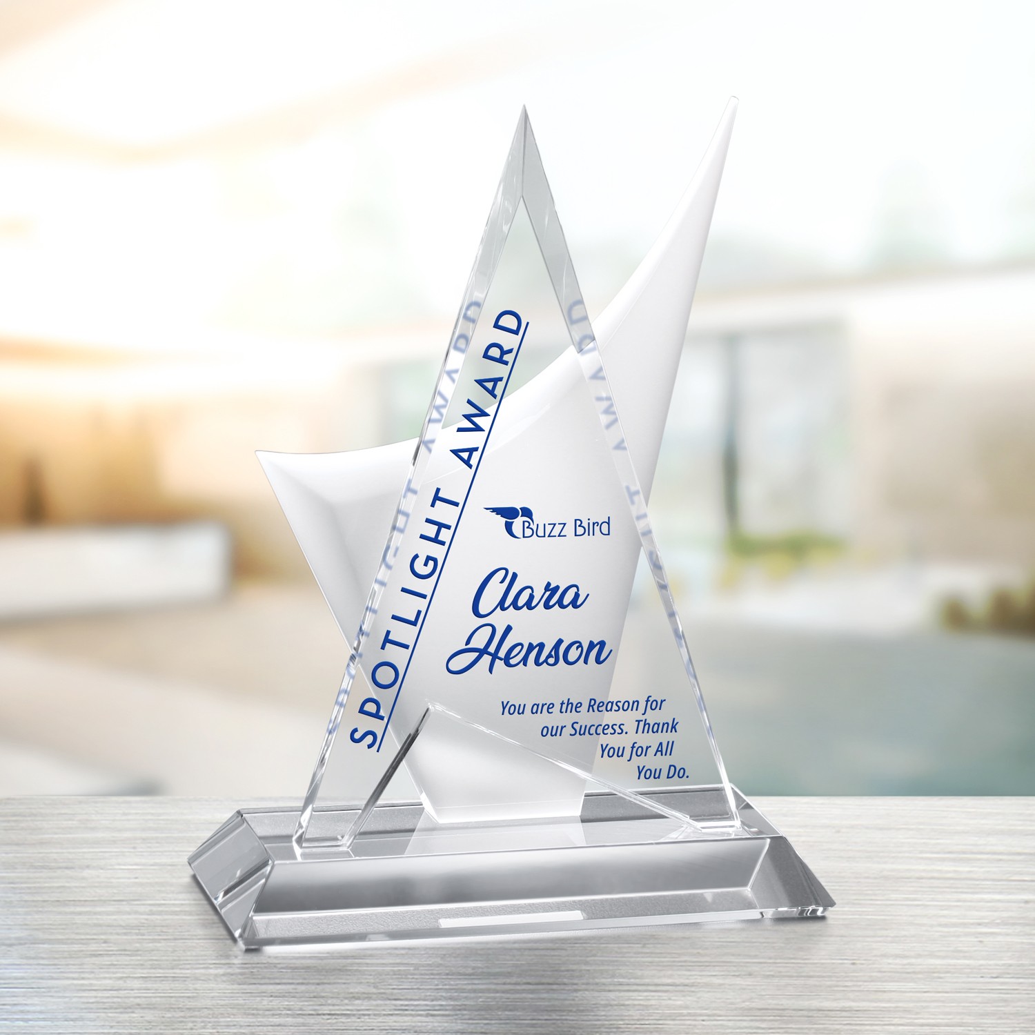 Picture of Enterprise Award 8-1/2"
