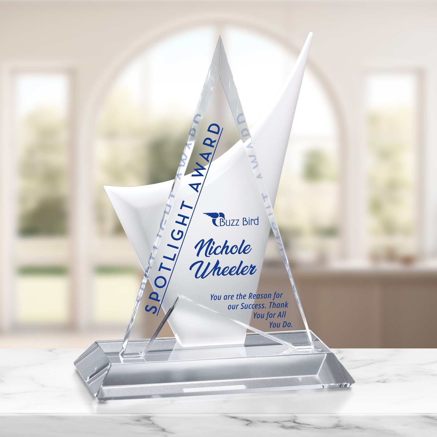 Picture of Enterprise Award 10-1/2"