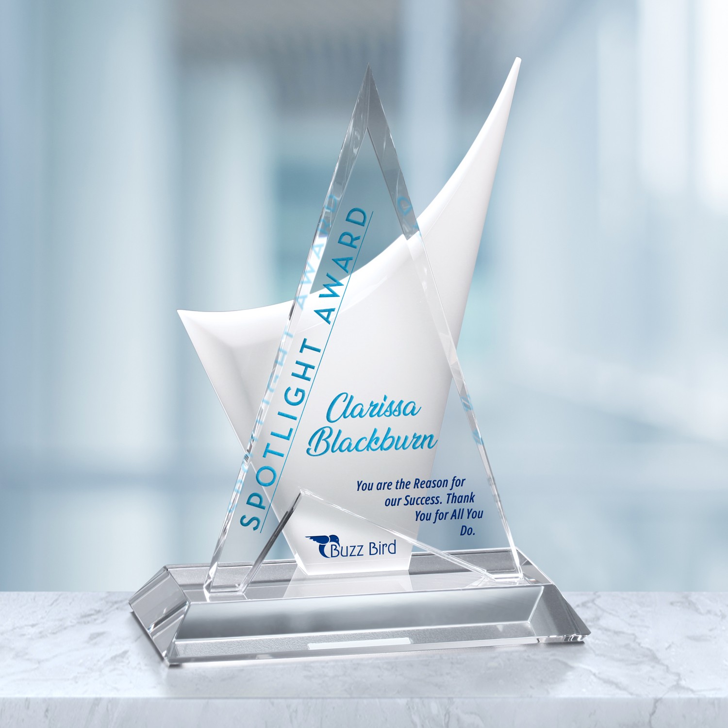 Picture of Enterprise Award 11-1/2"