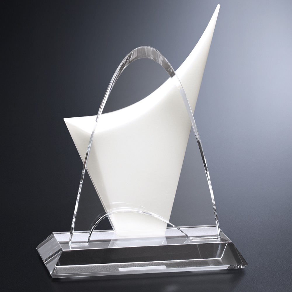 Picture of Discovery Award 8"