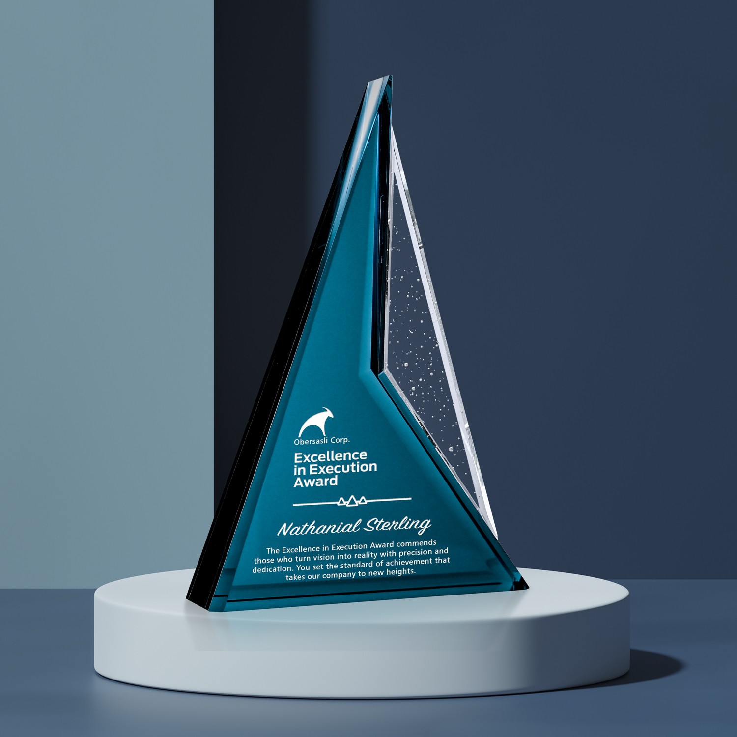 Picture of Endurance Award 8-1/2"