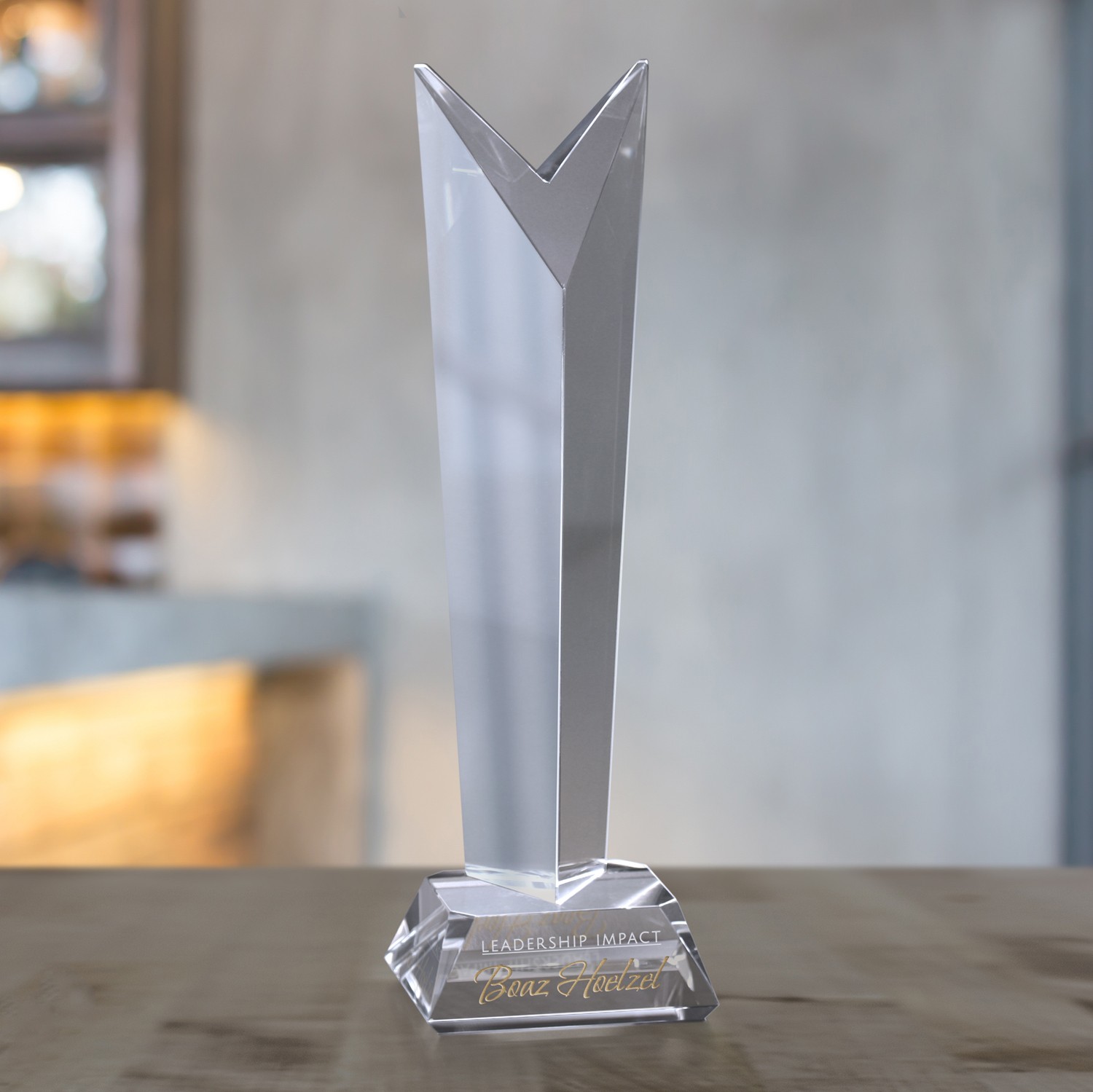 Picture of Vincent Award 12-1/2"
