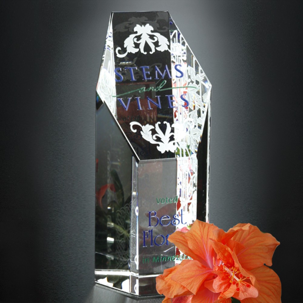Picture of Citadel Award 5-1/2"
