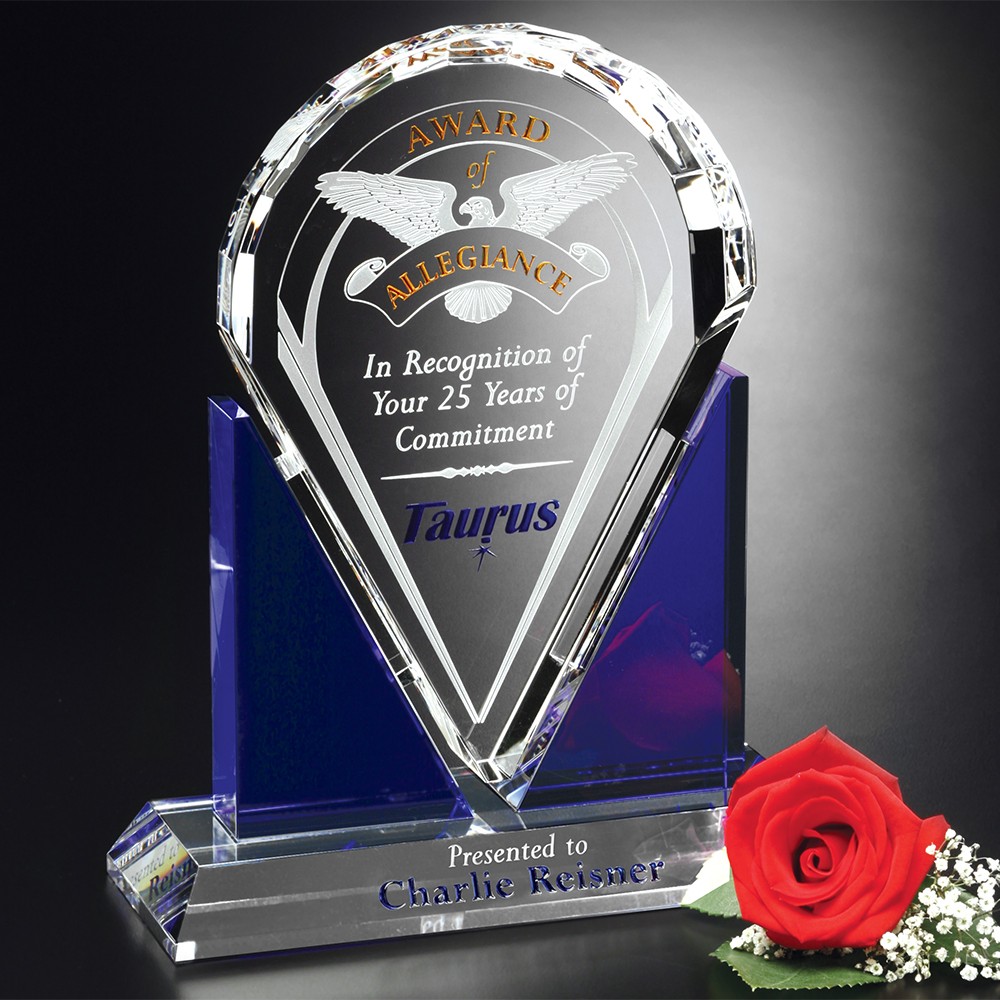 Picture of Distinction Award 10-1/2"