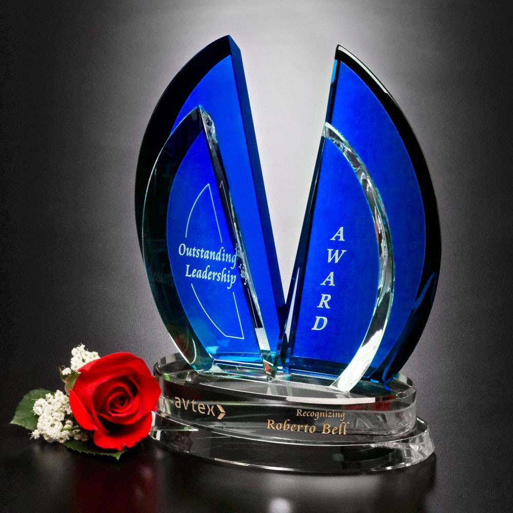 Picture of Flight Indigo Award 10"