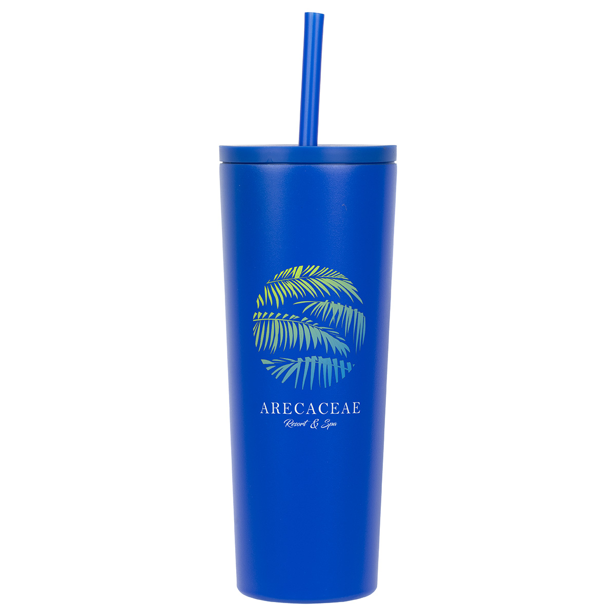 Picture of Bradford 24 oz Vacuum Insulated Stainless Steel Tumbler with Straw