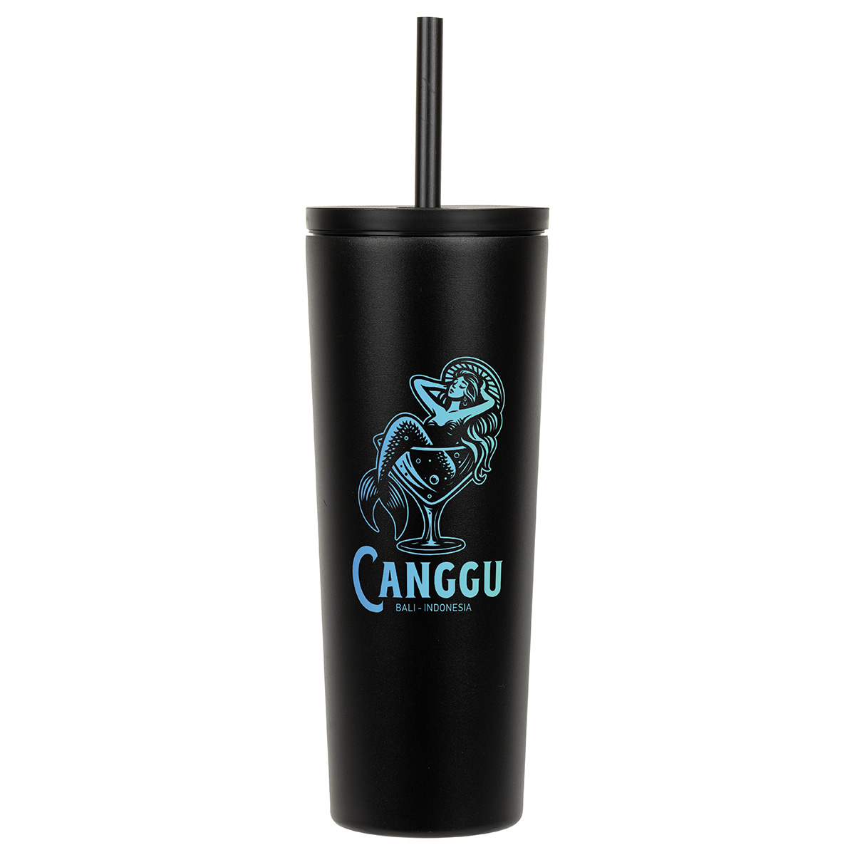 Picture of Bradford 24 oz Vacuum Insulated Stainless Steel Tumbler with Straw