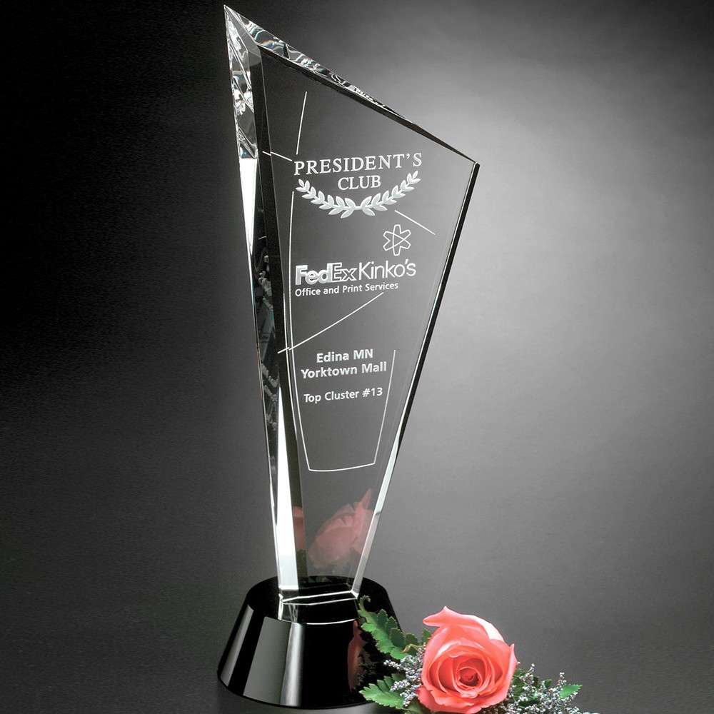 Picture of Invincible Award 10"