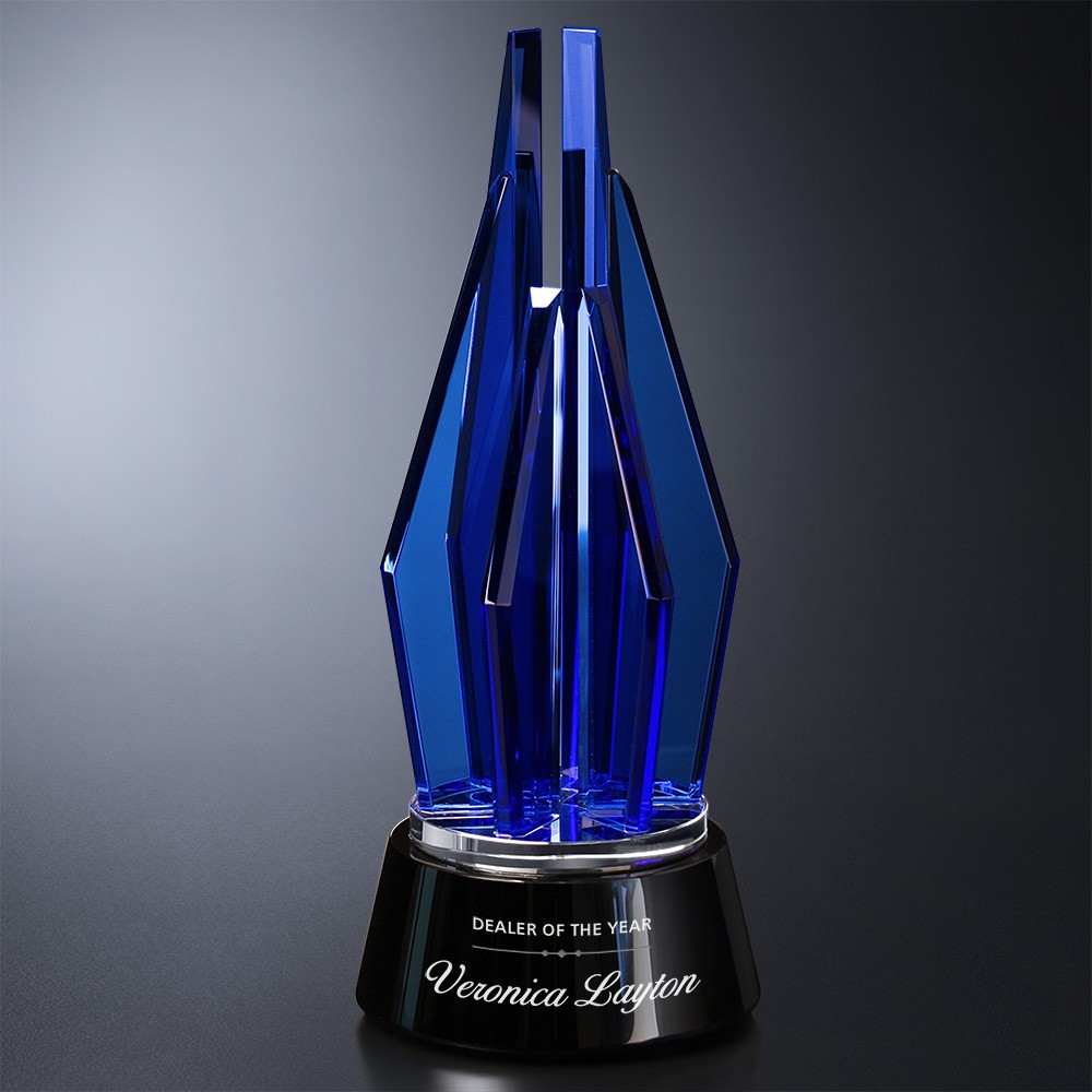 Picture of Vector Indigo Award 11"
