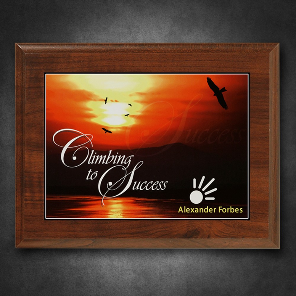 Picture of Econo Cherry Plaque 7" x 9" with Sublimated Plate
