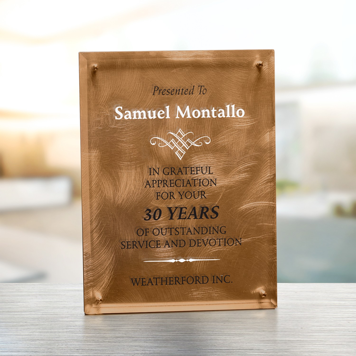 Picture of Bronze Alloy Plaque 9" x 12"