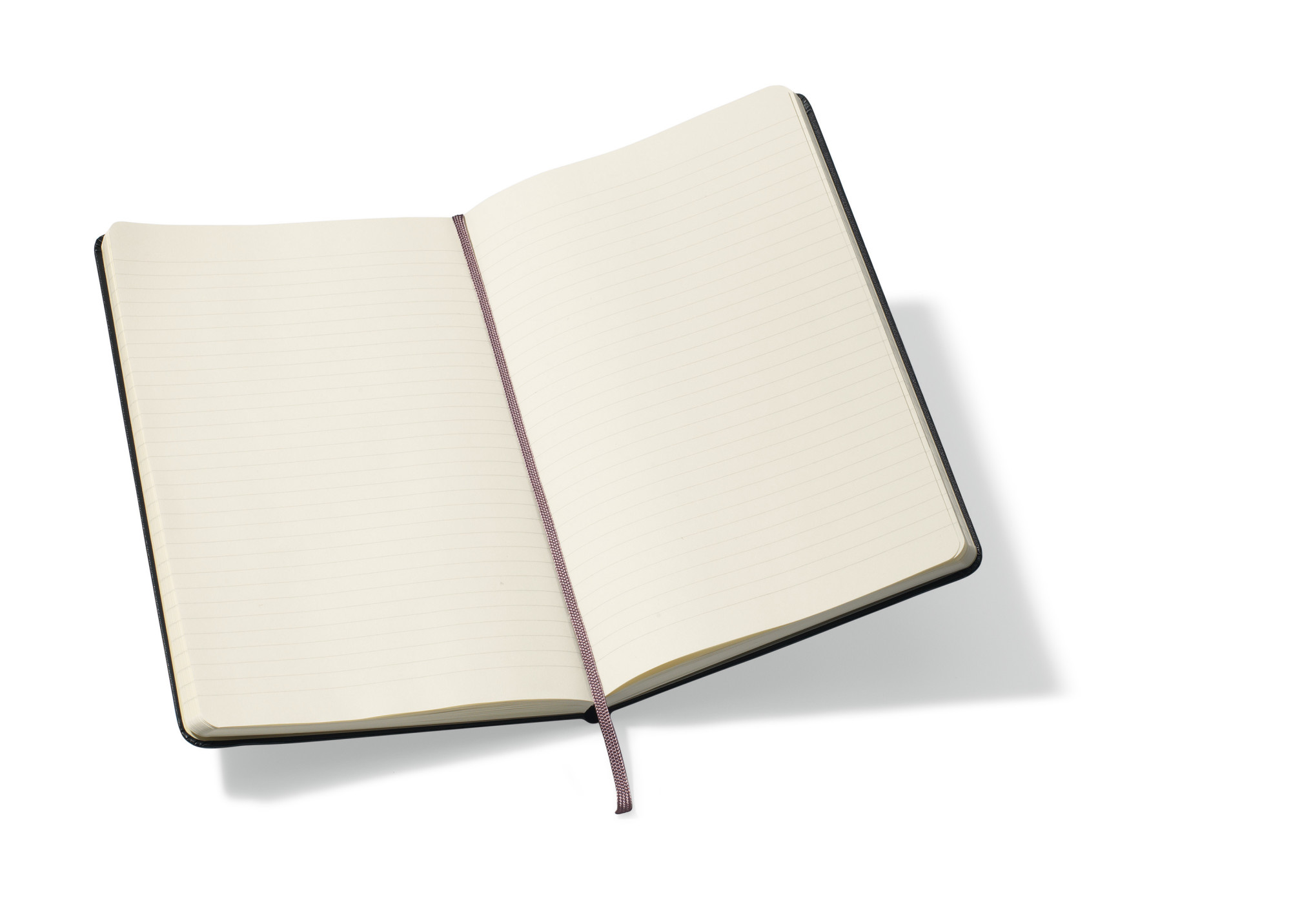 Picture of Moleskine Hard Cover Ruled Large Notebook - Black
