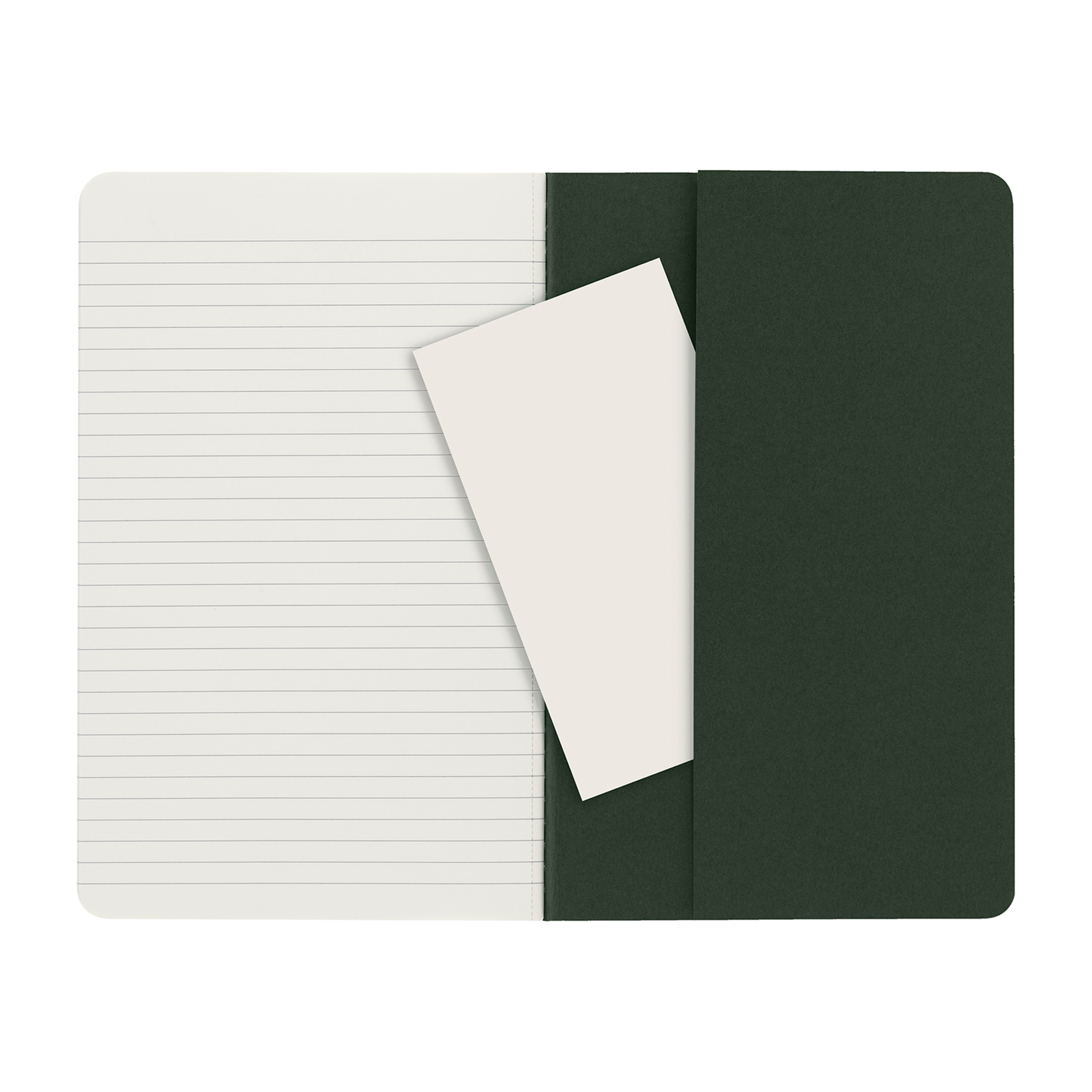 Picture of Moleskine Cahier Ruled Large Journal - Myrtle Green