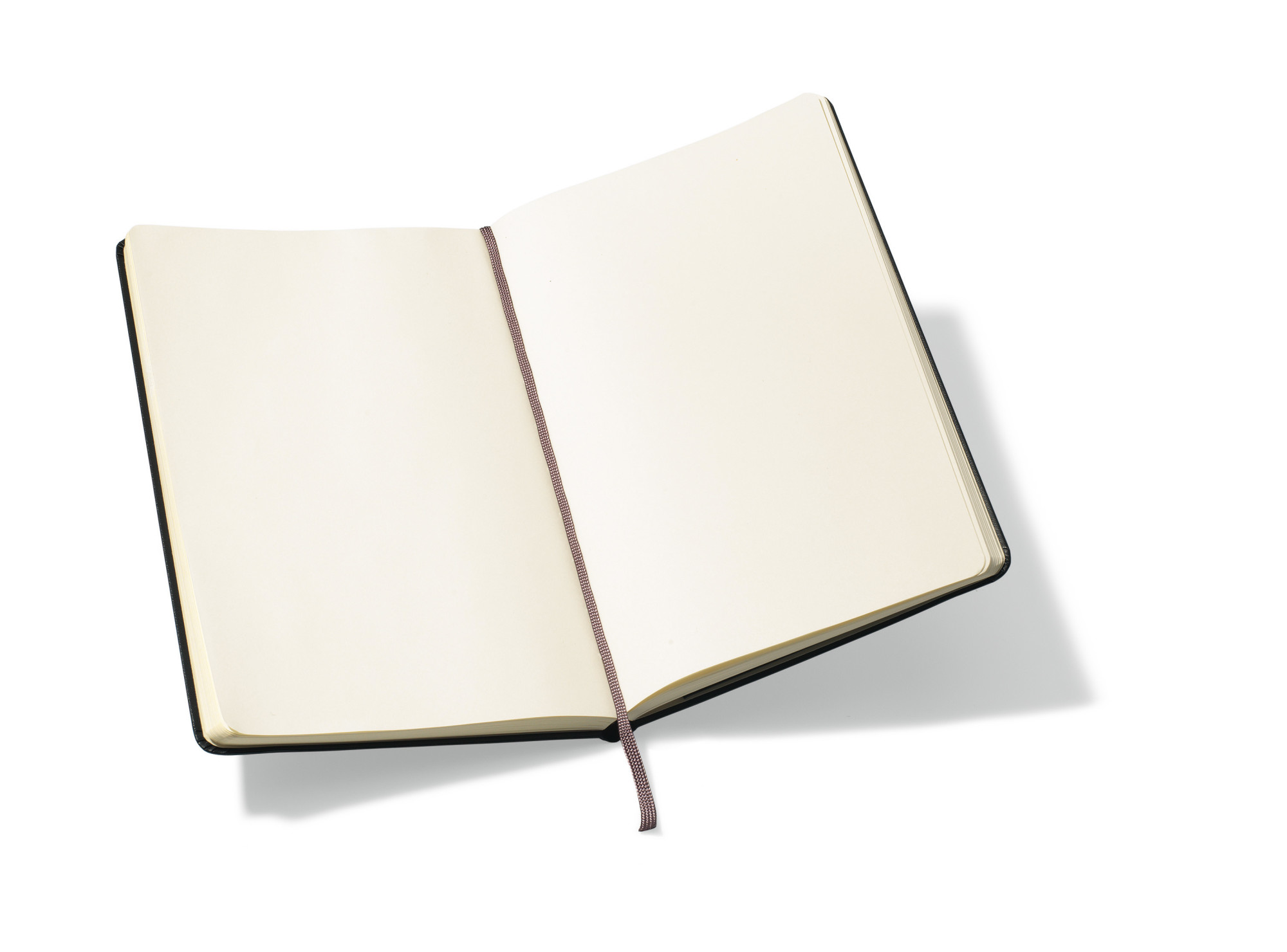 Picture of Moleskine Hard Cover Plain Large Notebook - Black