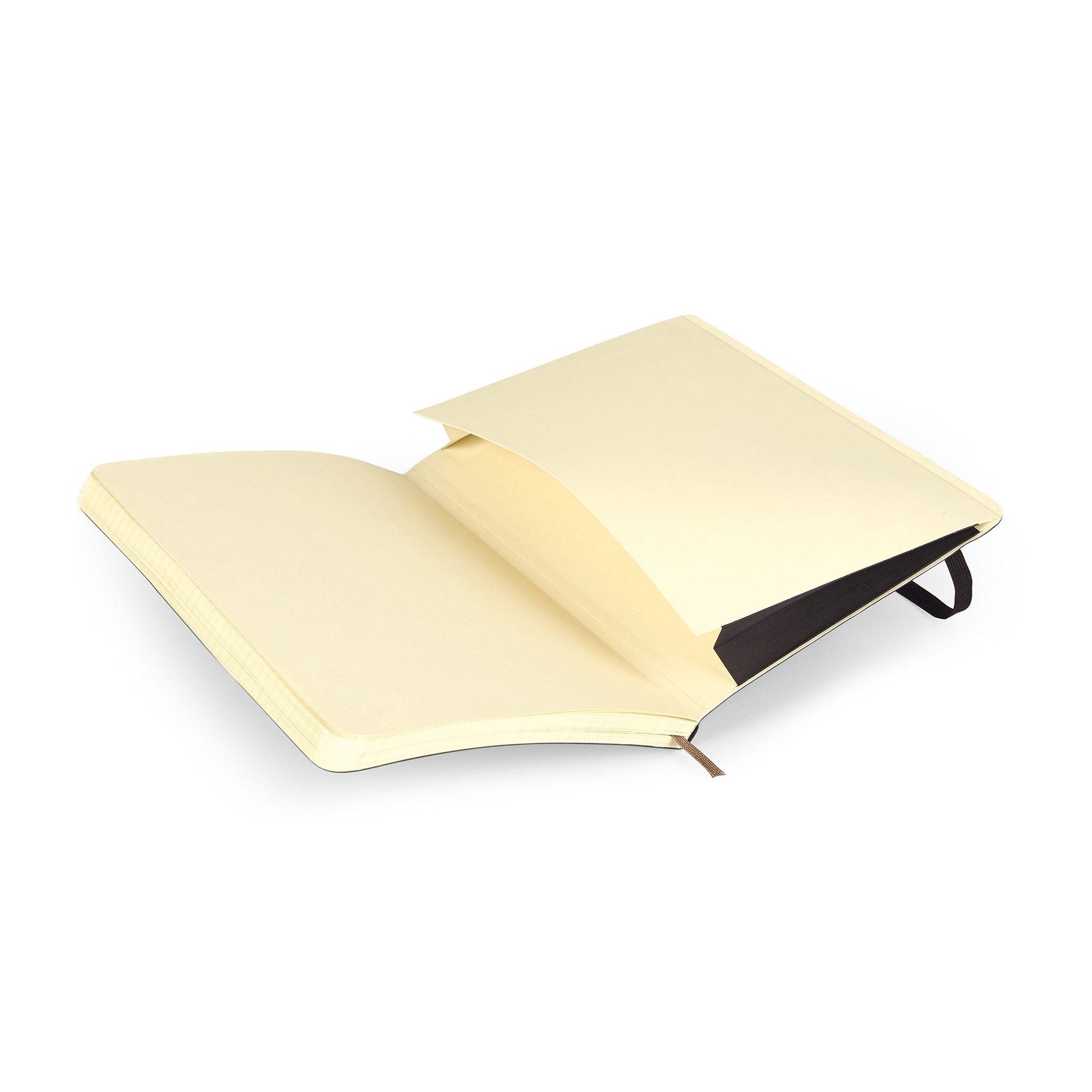 Picture of Moleskine Soft Cover Squared Large Notebook - Black