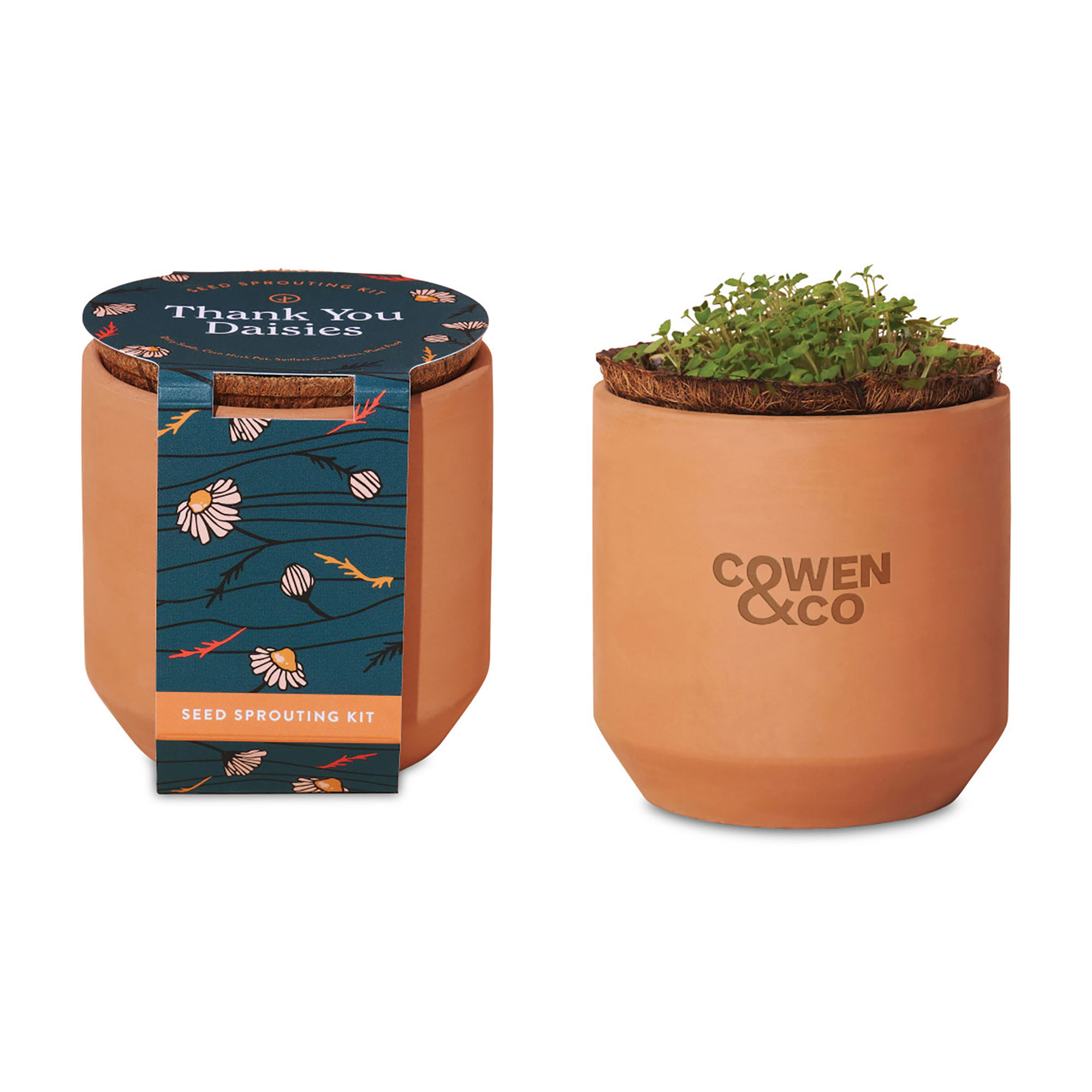 Picture of Modern Sprout Tiny Terracotta Grow Kit Thank You Daisies - Terracotta