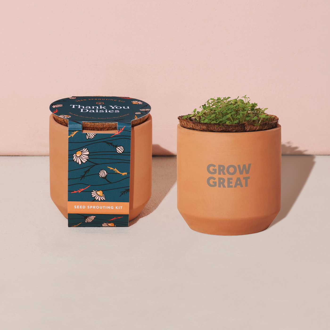 Picture of Modern Sprout Tiny Terracotta Grow Kit Thank You Daisies - Terracotta