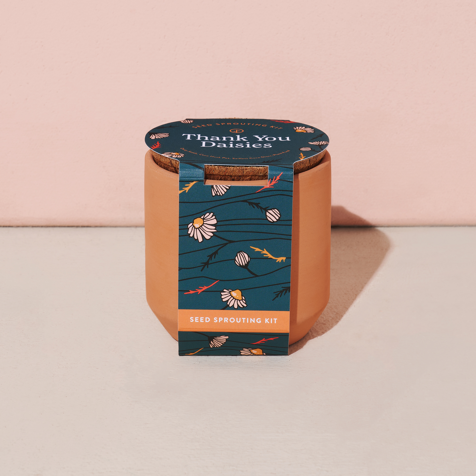 Picture of Modern Sprout Tiny Terracotta Grow Kit Thank You Daisies - Terracotta