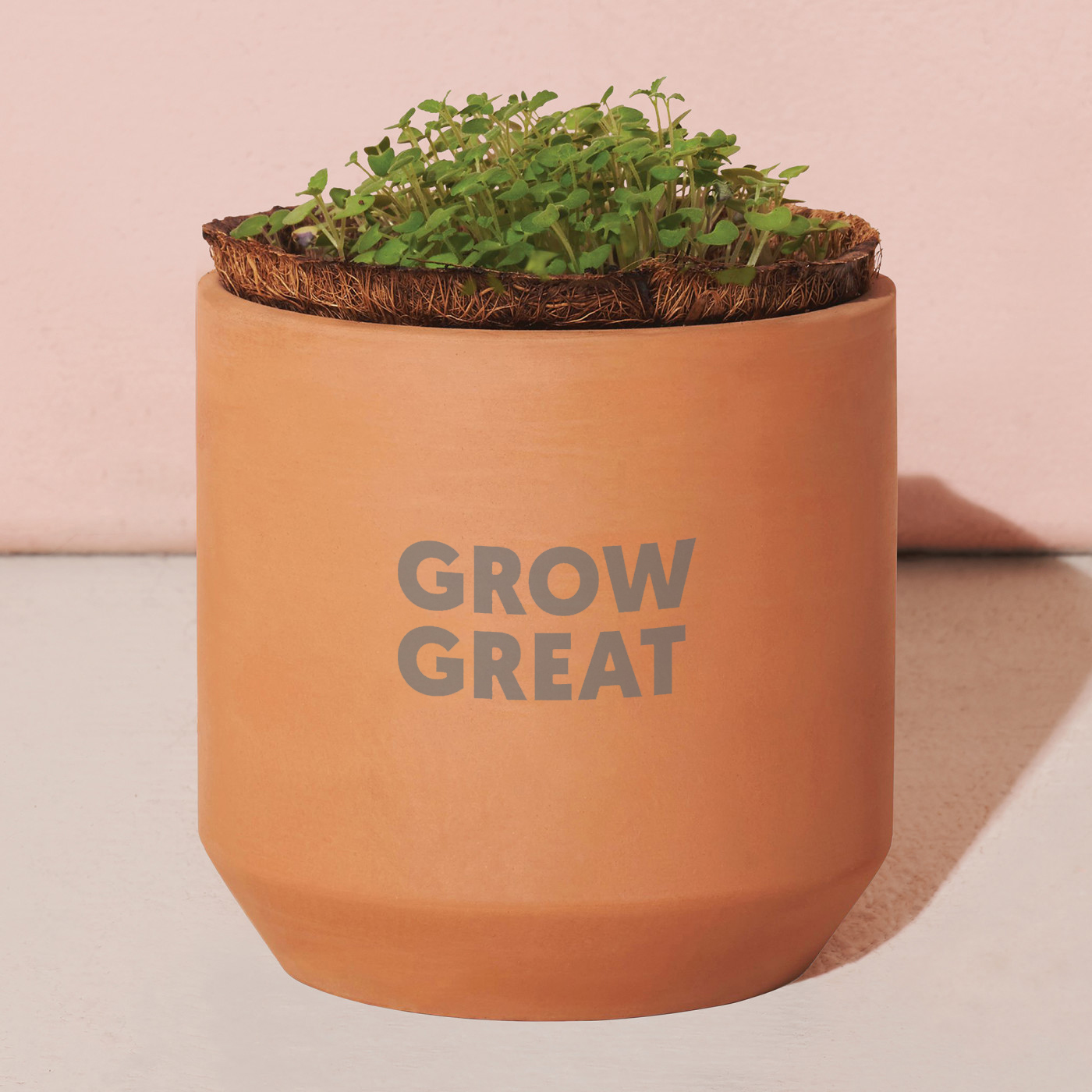 Picture of Modern Sprout Tiny Terracotta Grow Kit Thank You Daisies - Terracotta